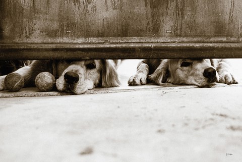 Framed We See You v2 Print