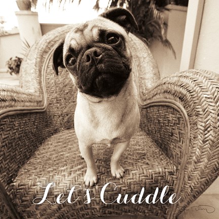 Framed Wonder Lets Cuddle Sq Script 2 Print