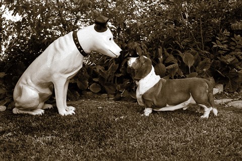 Framed Want to Play Print