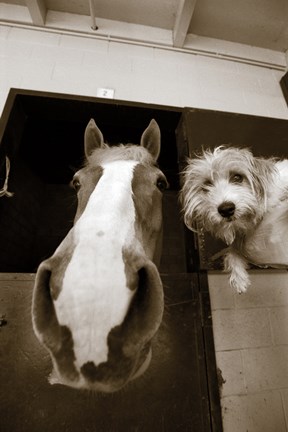 Framed Hanging Out Print