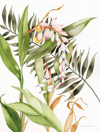Framed Botanical Shell Ginger Print