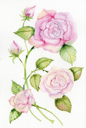Framed Floral Delight IV Print