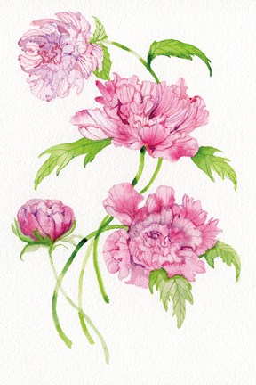 Framed Floral Delight III Print