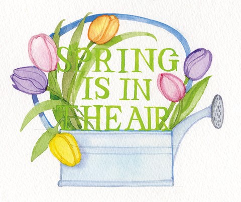 Framed Spring Saying III Print