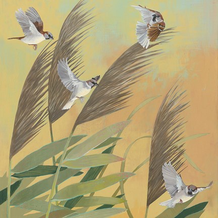 Framed Sparrows and Phragmates Sq Print