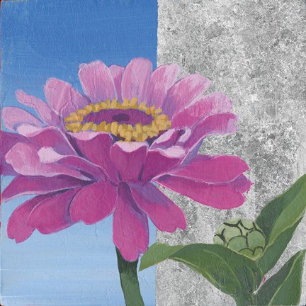 Framed Zinnia Pink and Silver Print