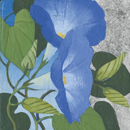 Framed Morning Glorious II Silver Print