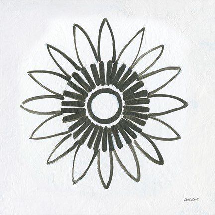 Framed Patterns of the Amazon Icon X Print