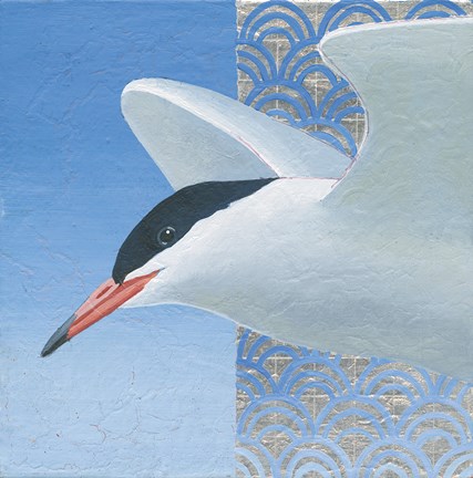 Framed Common Tern II Print