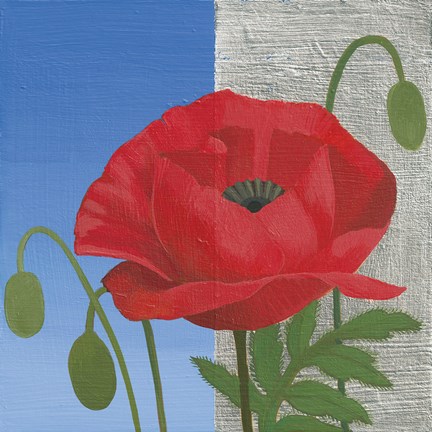 Framed Poppy Print