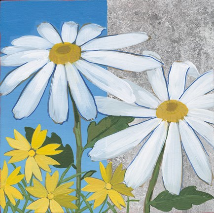 Framed Summer Garden II Silver Print