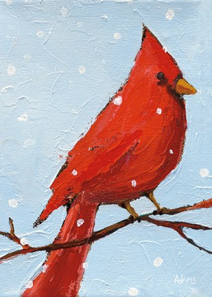 Framed Cardinal I Print