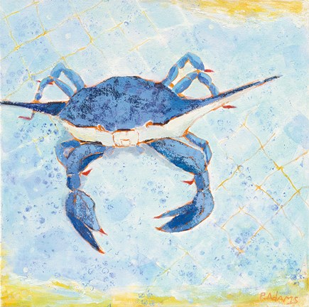 Framed Blue Crab VI Print
