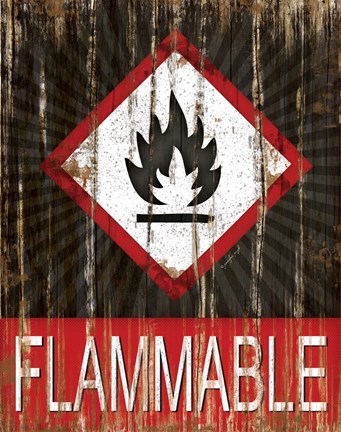 Framed Flammable Print