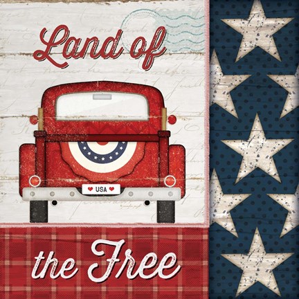 Framed Land of the Free Print