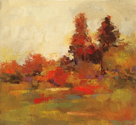 Framed Fall Forest IV Print