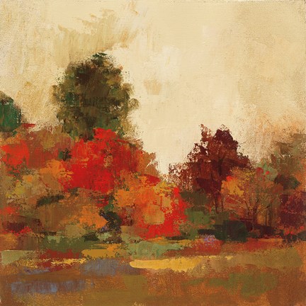 Framed Fall Forest III Print