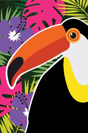 Framed Tropical Toucan Print