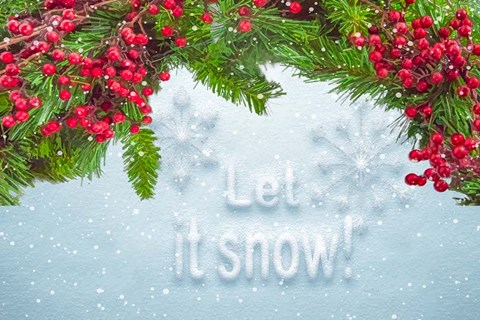 Framed Let It Snow Print