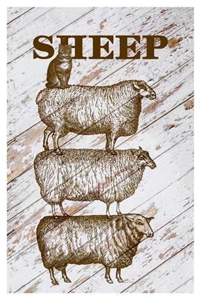 Framed Sheep Print