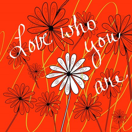 Framed Daisy Patch Print