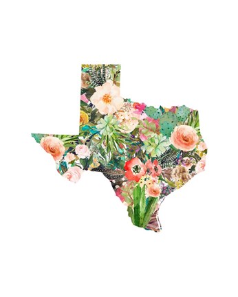 Framed Texas Floral Collage III Print