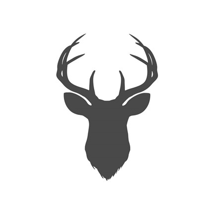 Framed Charcoal Deer Head Print