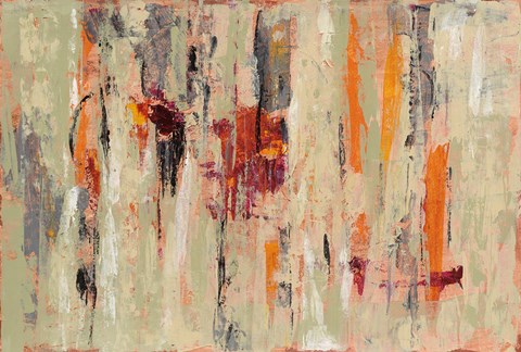 Framed Graffiti Wall I Print