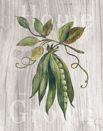 Framed Market Vegetables II on Wood Print