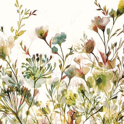 Framed Transparent Garden Warm Print