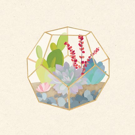 Framed Succulent Terrarium III Print