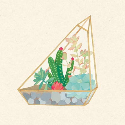 Framed Succulent Terrarium V Print