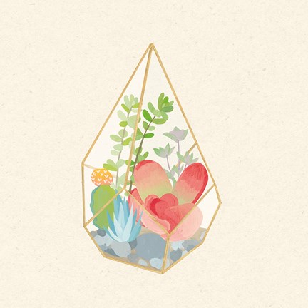 Framed Succulent Terrarium VII Print