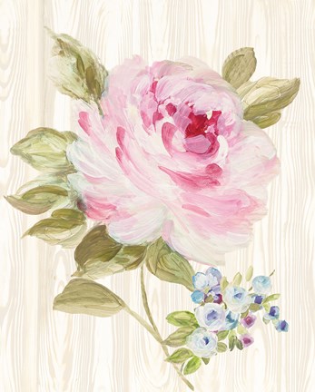 Framed Driftwood Garden V Print