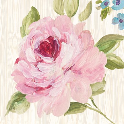 Framed Driftwood Garden IV Print