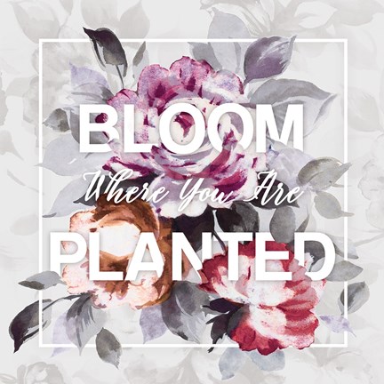 Framed Bloom Where You Are Planted Print