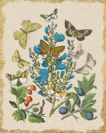 Framed Butterfly Bouquet II Linen Print