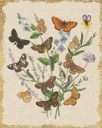 Framed Butterfly Bouquet I Linen Print