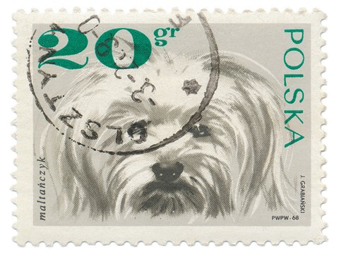 Framed Poland Stamp II on White Print