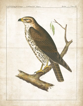 Framed Lookout II Print