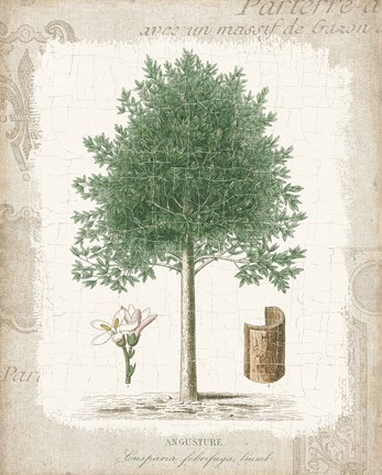 Framed Garden Trees I - Angusture Print