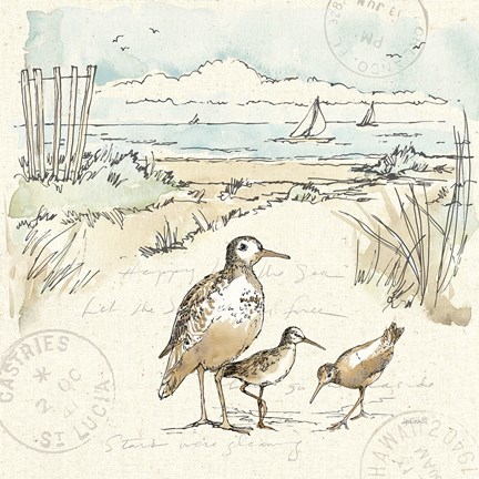 Framed Coastal Breeze X Print