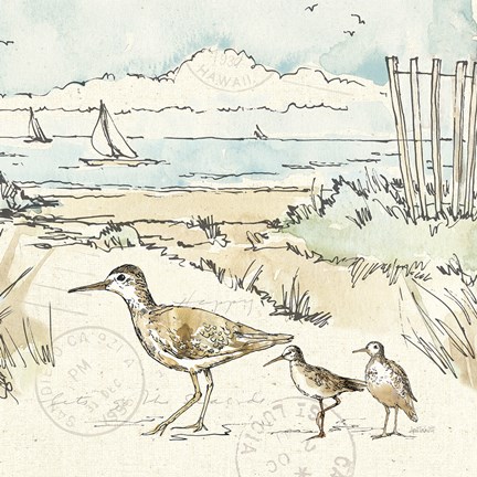 Framed Coastal Breeze XII Print