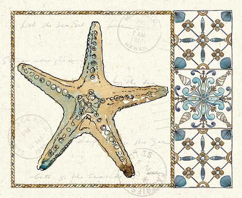 Framed Coastal Breeze IV Print