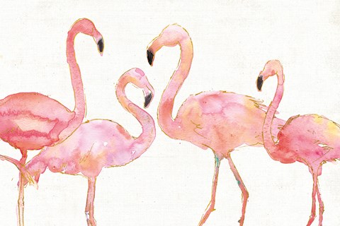 Framed Flamingo Fever I no Splatter Print