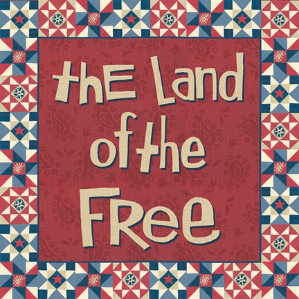 Framed American Country V Print