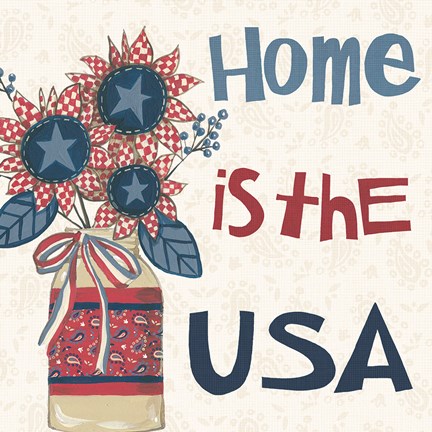 Framed American Country III Print