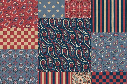 Framed American Country VI Print