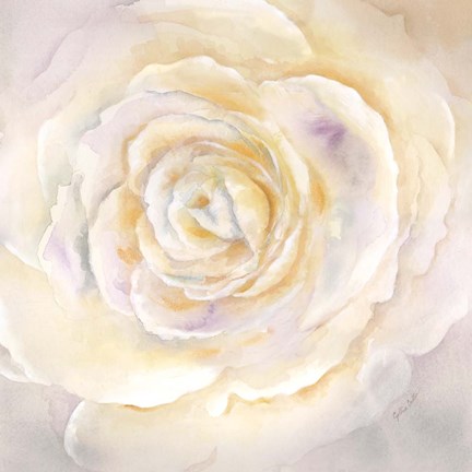 Framed Watercolor Rose Closeup I Print
