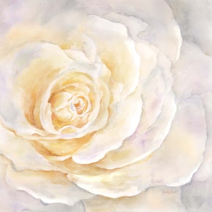 Framed Watercolor Rose Closeup II Print